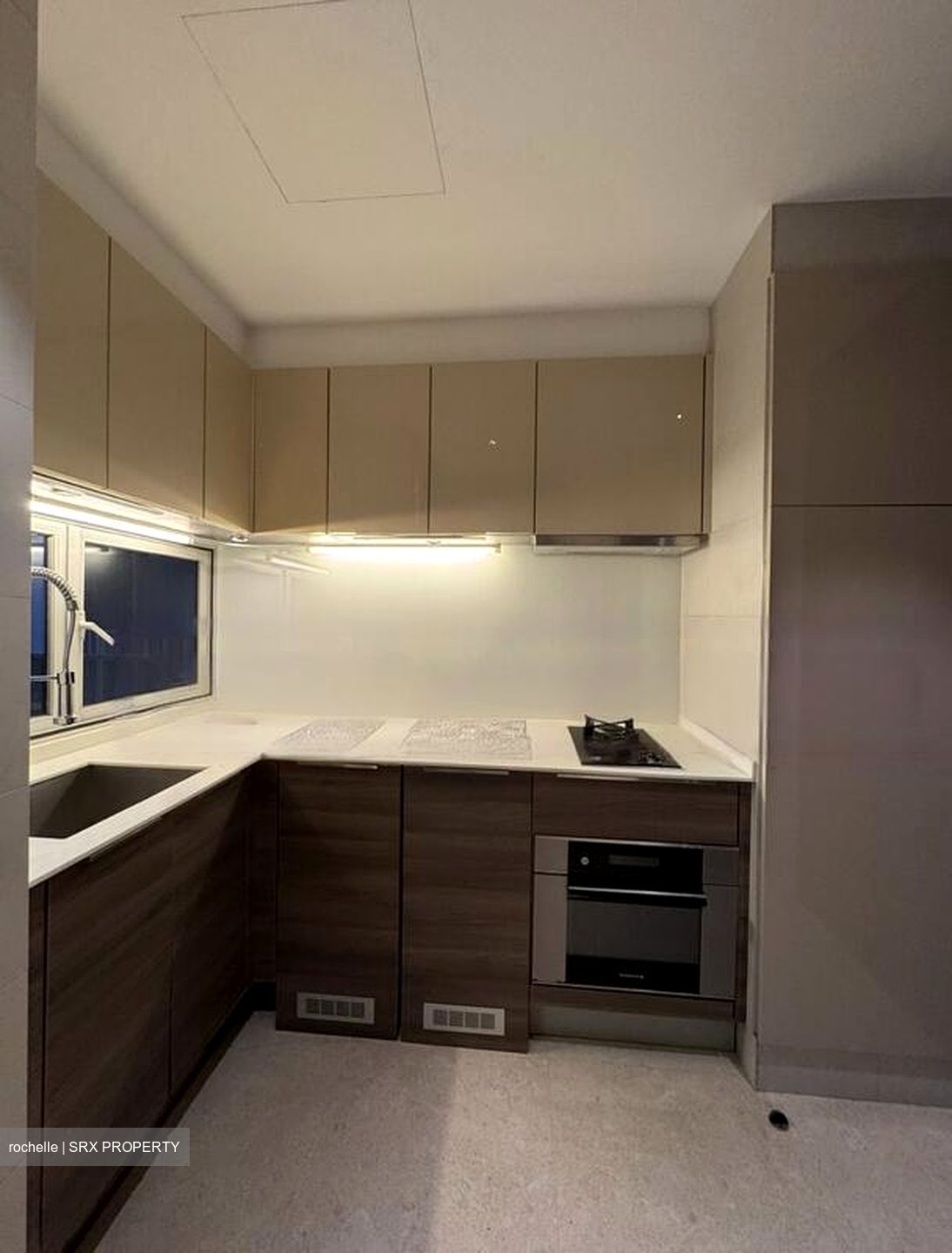 The Meyerise (D15), Condominium #462815981